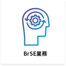 BrSE業務