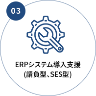 ERPシステム導入支援(受託型、SES型)