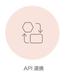 API連携